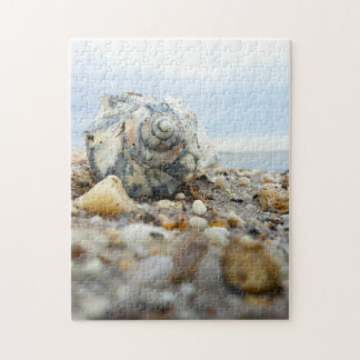 Seashell & Pebbles Legpuzzel