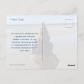 Seashell Photography Horse Conch Wild Florida Briefkaart (Achterkant)