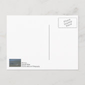 Seashell Pile Briefkaart (Achterkant)