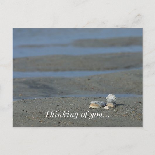 Seashell Pile Briefkaart (Voorkant)