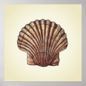 Seashell Poster (Voorkant)