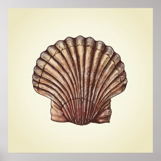 Seashell Poster (Voorkant)