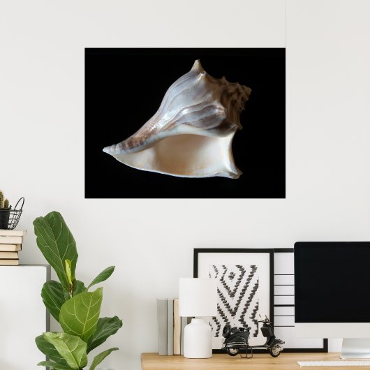 Seashell Poster (Thuiskantoor)