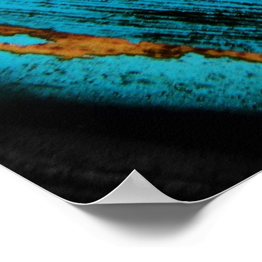 seashell poster (Hoek)