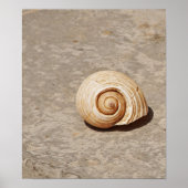 SeaShell Poster (Voorkant)