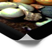 Seashell_ Poster_by Elenne Boothe Poster (Hoek)