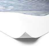 Seashell Print (Hoek)