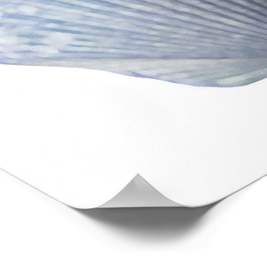 Seashell Print (Hoek)