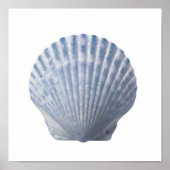 Seashell Print (Voorkant)