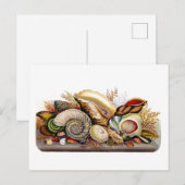  Seashell Print Briefkaart (Voorkant / Achterkant)