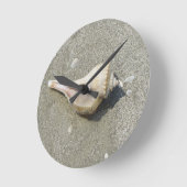 Seashell Ronde Klok (Hoek)