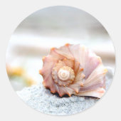 Seashell Ronde Sticker (Voorkant)