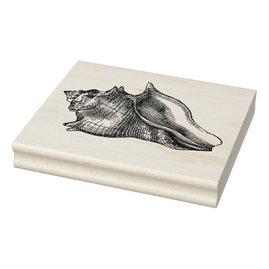  Seashell Rubberstempel (Stempel)