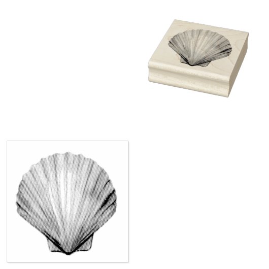 Seashell ,Scallop Shell ,Shell Rubber Stamp Rubberstempel (Gestempeld)