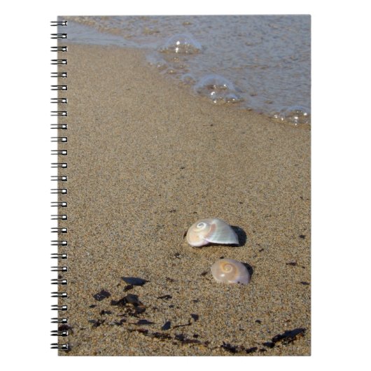 Seashell Seashore Notitieboek (Voorkant)