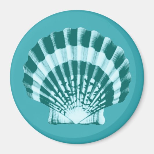 Seashell - Shades of blauwgroen blauw Magneet (Voorkant)