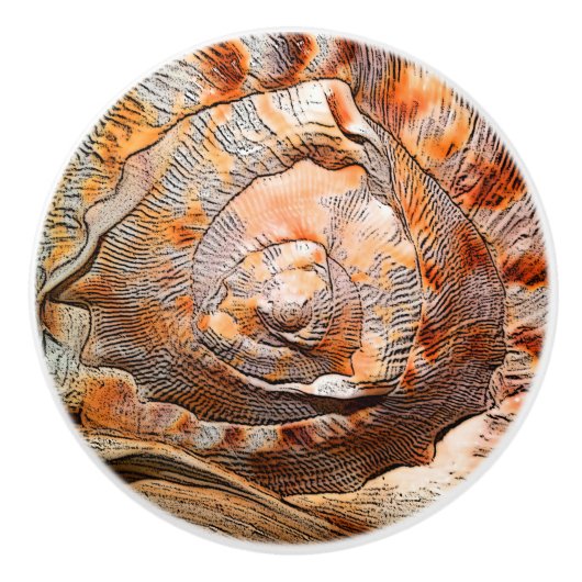 Seashell Shell Beach House Decor Keramische Knop (Voorkant)
