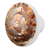 Seashell Shell Beach House Decor Keramische Knop (Rechts)