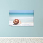 Seashell | Sint-Petersburg, Florida Canvas Afdruk (Insitu (Houten vloer))