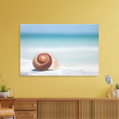 Seashell | Sint-Petersburg, Florida Canvas Afdruk (Insitu (Woonkamer))