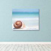 Seashell | Sint-Petersburg, Florida Canvas Afdruk (Insitu (Houten vloer))