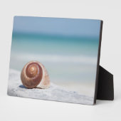 Seashell | Sint-Petersburg, Florida Fotoplaat (Zijkant)