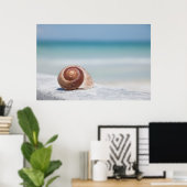 Seashell | Sint-Petersburg, Florida Poster (Thuiskantoor)