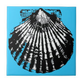 Seashell Sketch Tegeltje (Voorkant)