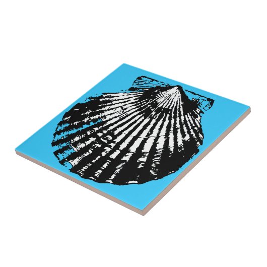 Seashell Sketch Tegeltje (Zijkant)