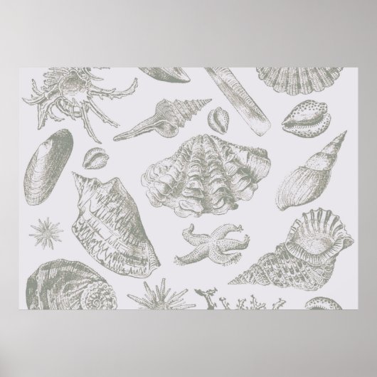 Seashell Soft Antiek Art Beach Shell Poster (Voorkant)