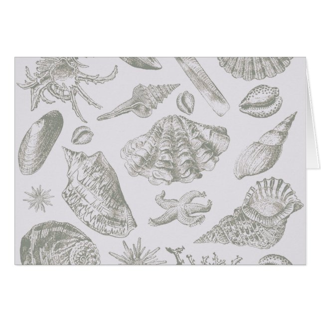 Seashell Soft Antiek Art Beach Shells (Voorkant Horizontaal)