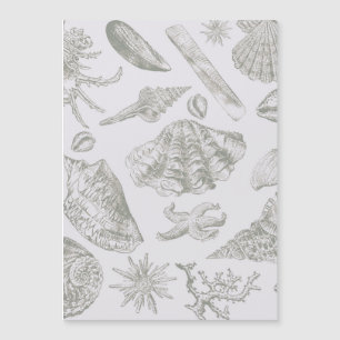 Seashell Soft Antiek Art Beach Shells