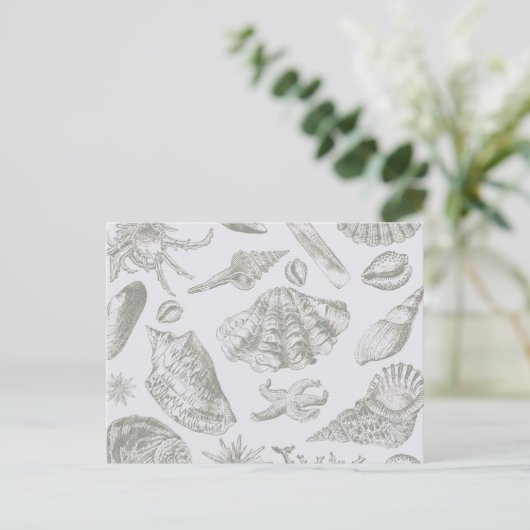 Seashell Soft Antiek Art Beach Shells Briefkaart (Staand voorkant)