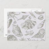 Seashell Soft Antiek Art Beach Shells Briefkaart (Voorkant / Achterkant)