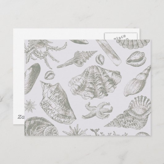 Seashell Soft Antiek Art Beach Shells Briefkaart (Voorkant / Achterkant)