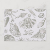 Seashell Soft Antiek Art Beach Shells Briefkaart (Voorkant)
