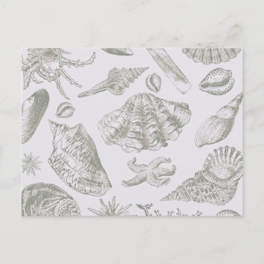 Seashell Soft Antiek Art Beach Shells Briefkaart (Voorkant)