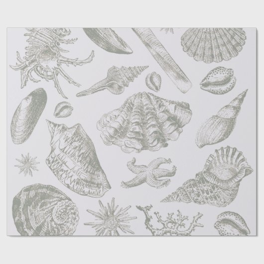 Seashell Soft Antiek Art Beach Shells Cadeaupapier (Vlak)