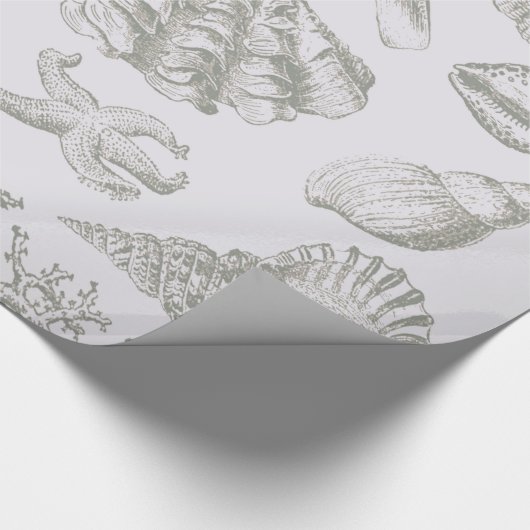 Seashell Soft Antiek Art Beach Shells Cadeaupapier (Hoek)