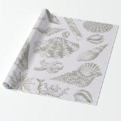 Seashell Soft Antiek Art Beach Shells Cadeaupapier (Uitgerold)