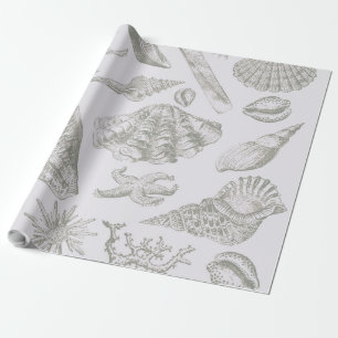 Seashell Soft Antiek Art Beach Shells Cadeaupapier