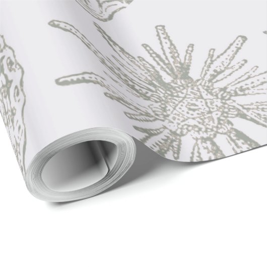 Seashell Soft Antiek Art Beach Shells Cadeaupapier (Rol Hoek)