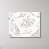 Seashell Soft Antiek Art Beach Shells Canvas Afdruk (Voorkant)