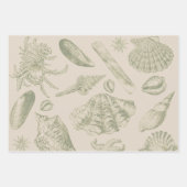 Seashell Soft Antiek Art Beach Shells Inpakpapier Vel (Voorkant 3)