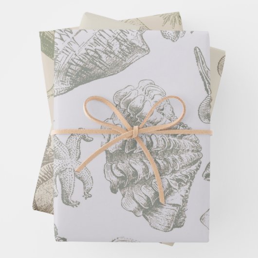 Seashell Soft Antiek Art Beach Shells Inpakpapier Vel (In situ)