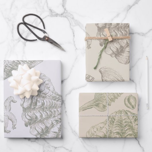 Seashell Soft Antiek Art Beach Shells Inpakpapier Vel (Voorkant)