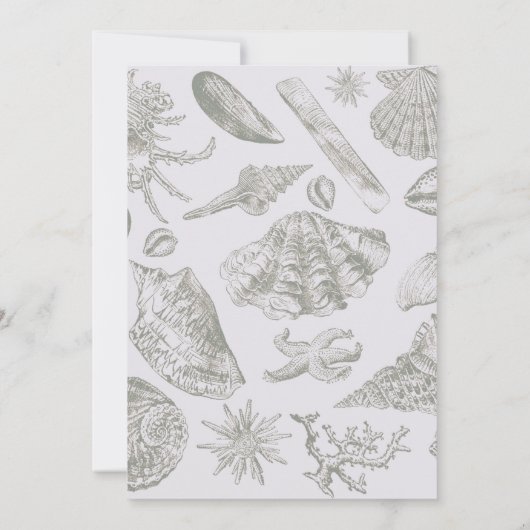 Seashell Soft Antiek Art Beach Shells Kaart (Achterkant)