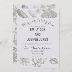 Seashell Soft Antiek Art Beach Shells Kaart