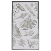 Seashell Soft Antiek Art Beach Shells Klein Cadeauzakje (Achterkant)