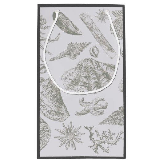 Seashell Soft Antiek Art Beach Shells Klein Cadeauzakje (Achterkant)